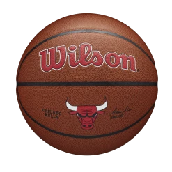 Amersports NBA Team Alliance Basketball