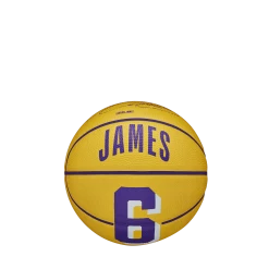 Amersports NBA Player Icon Mini Basketball - LeBron